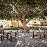 Mitsis Rodos Maris Resort & Spa Picture 11
