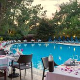 Montana Pine Resort Hotel Picture 6