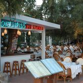 Okaliptus Hotel Picture 5