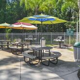 Cypress Pointe Resort Picture 5