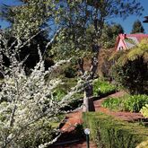 Quinta Santo Antonio Da Serra Chalets Picture 13