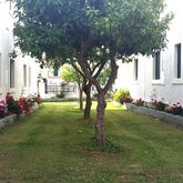 Corifo Village Picture 6