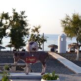 Veggera Hotel Picture 16