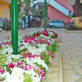Lemon Grove Apartments Picture 8