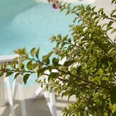 Mayor Mon Repos Palace Art Hotel Picture 6