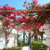 Blue Horizon Hotel Picture 19