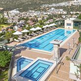 Happy Kalkan Picture 6