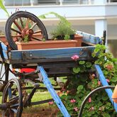 Daisy Garden Resort Picture 12