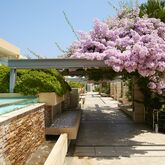 Minoa Palace Resort & Spa Picture 12