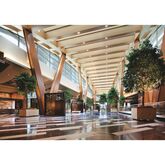 Aria Resort & Casino Picture 18