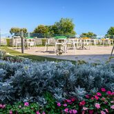 Marina Grand Beach Hotel Picture 6
