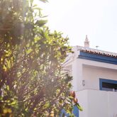 Oasis Beach Apartments Picture 7