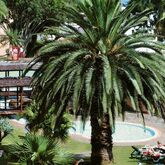 Dom Pedro Garajau Aparthotel Picture 11