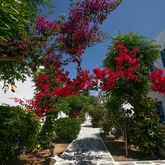 Acrogiali Hotel Picture 2