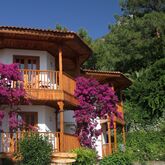 Montana Pine Resort Hotel Picture 9