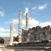 Artemisia Royal Park Hotel Picture 14