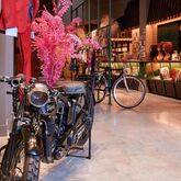 Mercure Terminus Nord Hotel Picture 17
