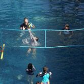 Swissotel Resort Phuket Hotel Picture 7