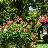 Antiche Mura Hotel Picture 13