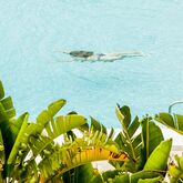 Anfora Playa Hotel Picture 16