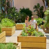 Sensimar Falesia Atlantic Hotel Picture 14