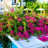 Peridis Family Resort Picture 19