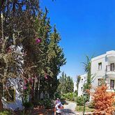 Club La Luna Hotel Picture 3