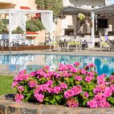 Holidays at Kristalli Apartments in Malia, Crete
