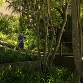 Paresa Resort Picture 18