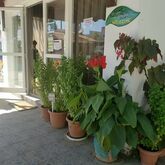 Aspro Spiti Apartments Picture 8
