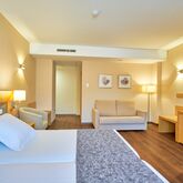 Husa Guadalmedina Hotel Picture 7