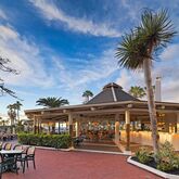 H10 Las Palmeras Hotel Picture 9