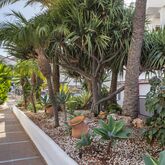 Sahara Sunset Club Hotel Picture 9