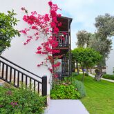 Smartline Bitez Garden Life Picture 14
