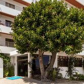 Mirachoro II Apartments Picture 12