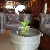 Derby Eiffel Hotel Picture 8