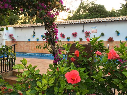 Holidays at Carmen Teresa Hotel in Torremolinos, Costa del Sol
