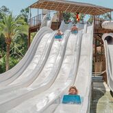Magic Tropical Splash Picture 3