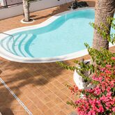 Los Tulipanes Apartments Picture 11