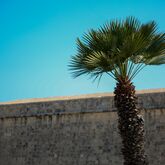 Phoenicia Hotel Malta Picture 18