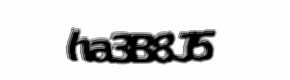 Security check image, please type the characters shown