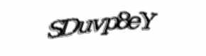Security check image, please type the characters shown