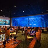 Tradewinds Island Grand Resort Picture 12