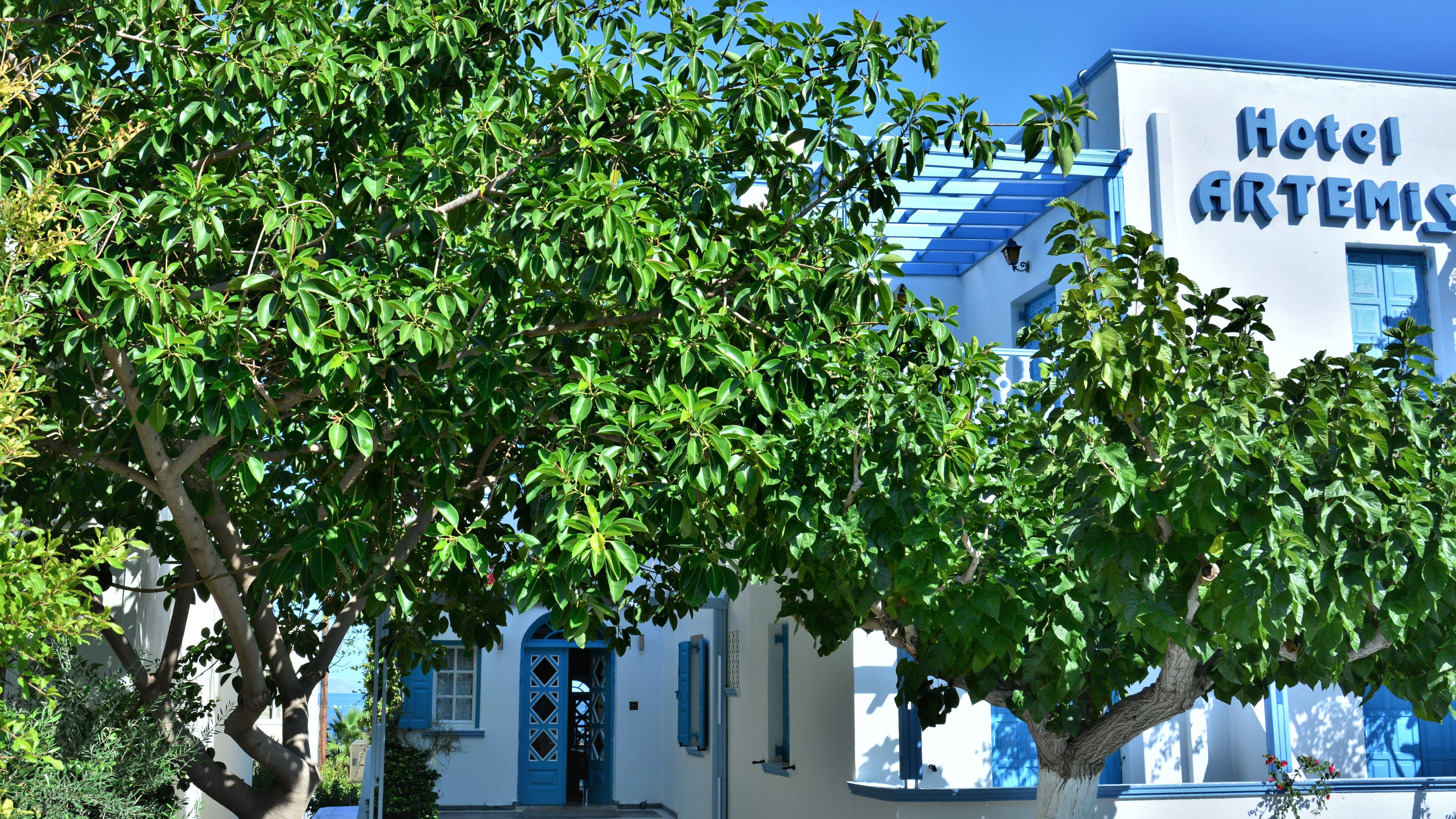 Artemis Santorini Hotel Picture 18