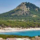 Vincci Bosc de Mar Hotel Picture 7