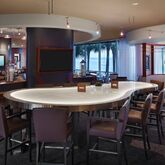 Marriott Suites On Sand Key Picture 10