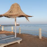 Parrotel Beach Resort Picture 3