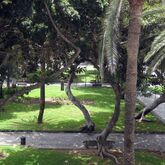Parque Hotel Picture 2