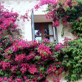 S'olivaret Hotel Picture 9