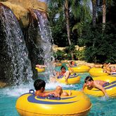 Reunion Resort Picture 5
